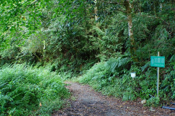 宜蘭 大同 加羅山2890261