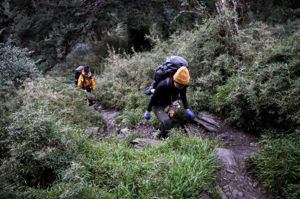 帝王之座-南湖圈谷｜審馬陣山＋南湖北山＋雲稜/南湖圈谷山屋2884856
