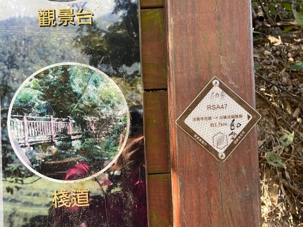 1141207金童山2957713