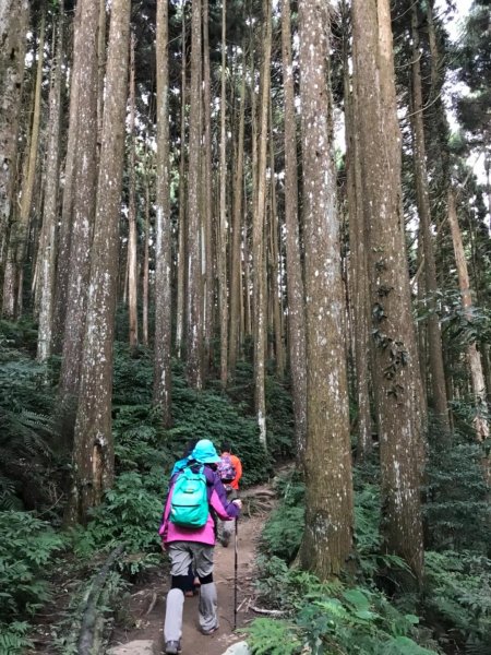 加里山鹿野線461338