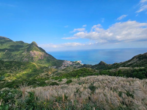 芒花盛開-煙囪稜 黃金洞 半屏山 燦光竂O型2357568