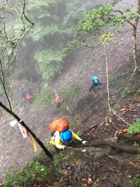 司馬庫斯古道越嶺鴛鴦湖899272