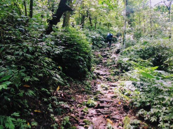淡蘭古道中路【崩山坑-石空段】640665