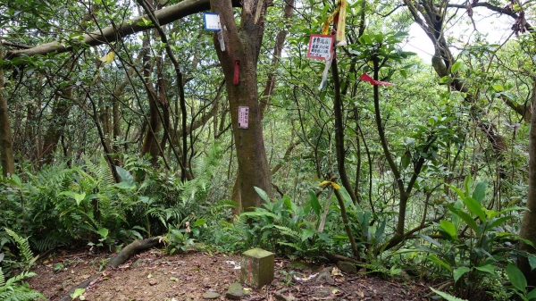 北台灣秘境探訪-基隆西勢坑溪40304