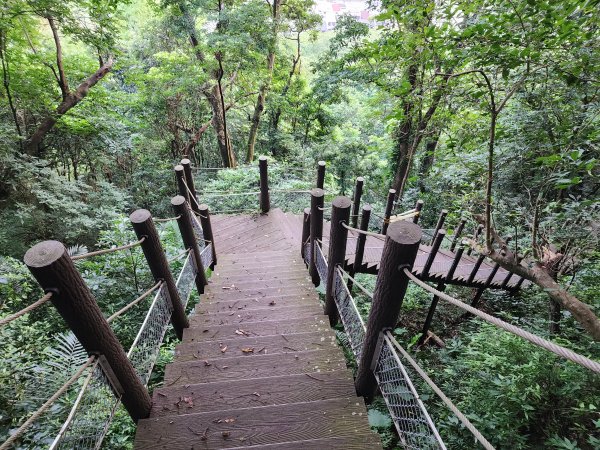 20240721泰安登山步道登七塊山2599944