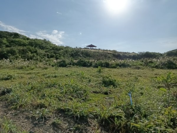 貢寮區龍洞稜(和美山)+北勢山稜線O型2958423