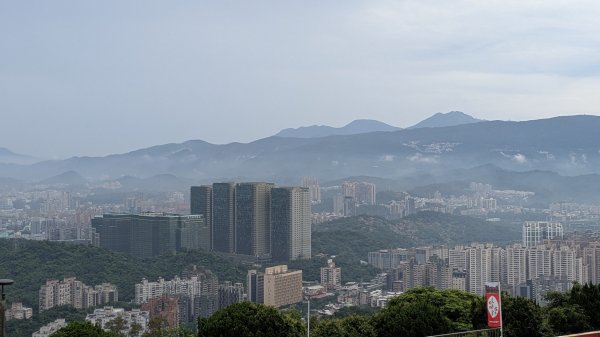 霧染大尖3074572