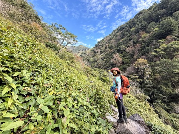 屋東縱走 202503012728985