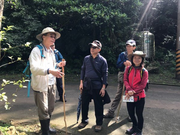 【新聞】「新店綠寶石」植物園隱藏豐富生態 還可看到台灣藍雀