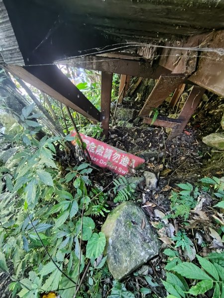 唐麻丹山 蝴蝶谷2918983