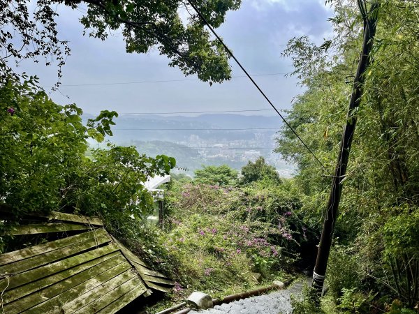 天母古道（水管路）2650072