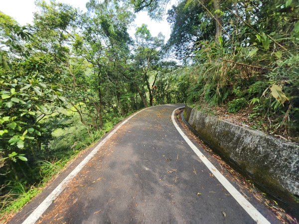 20250404雙十縱走失敗撤退改走蝙蝠山2892563