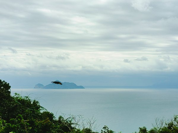 灣坑頭山 海拔：616 小百岳82 與桃源谷大溪線1586452