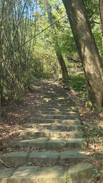2025-0130溪和宮-大崎頭步道-鵝尾山-平溪步道-鵝尾山水田-42巷-溪山百年古圳-平菁步道2701853