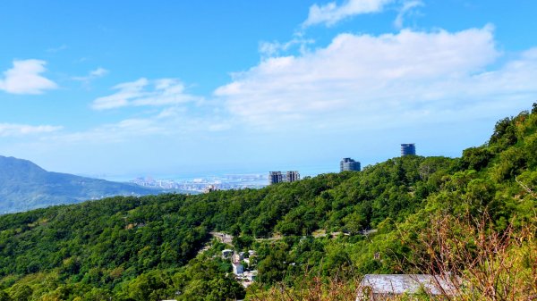 向天蝦不蝦2936795