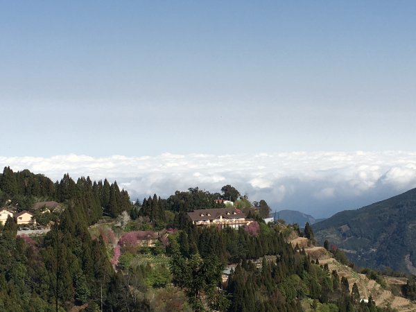 野馬瞰山~~一條私密步道