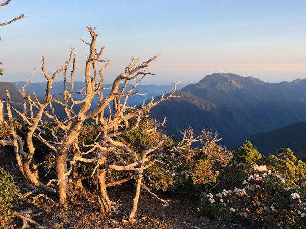 202505八大秀2874057