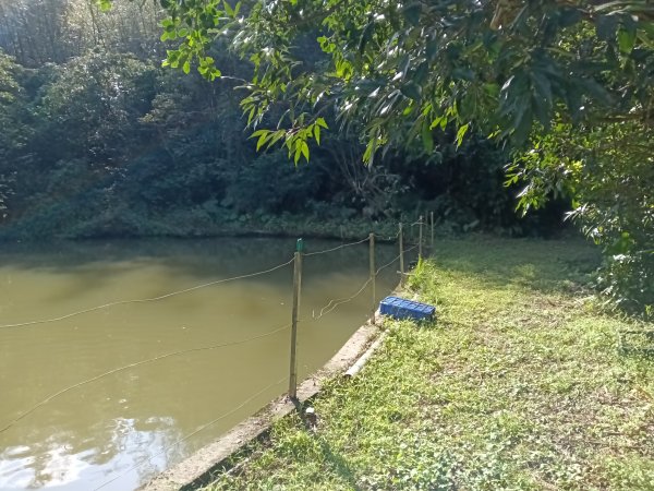 五堵獅頭山無菸步道2969481