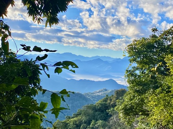 中阿冷山、阿冷山東南峰、南阿冷山、烏來山、黑田山（南峰）、阿寸坑山輕鬆撿   2022/1/201587893