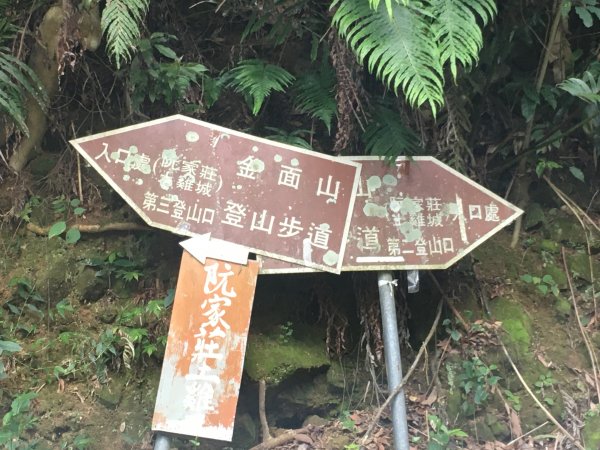 大溪金面山(3登山上2登山下)O形1006480