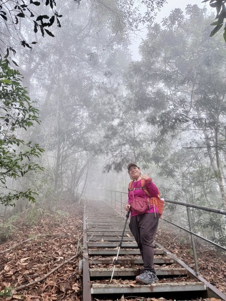 埔里撿基石-西關刀山西峰(貓頭山).牛眠山.三角嶺山(東南峰)  2024.12.142669870