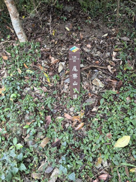 20251227尾寮山登山步道2970505
