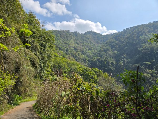 草嶺蓬萊瀑布2717798