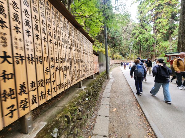 20251127陣馬山至高尾山2959108