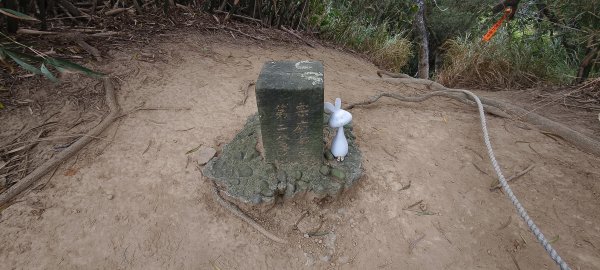 2025/12/21_口山古道O型2968547