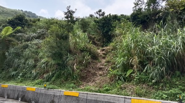 雙溪區不厭亭-牡丹山-金瓜石福德-樹梅坪-不厭亭-金字碑探幽亭-三貂崙-不厭亭8字走3111396