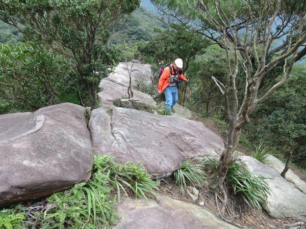 汐止金明山.柯子林山.如意湖O型291427