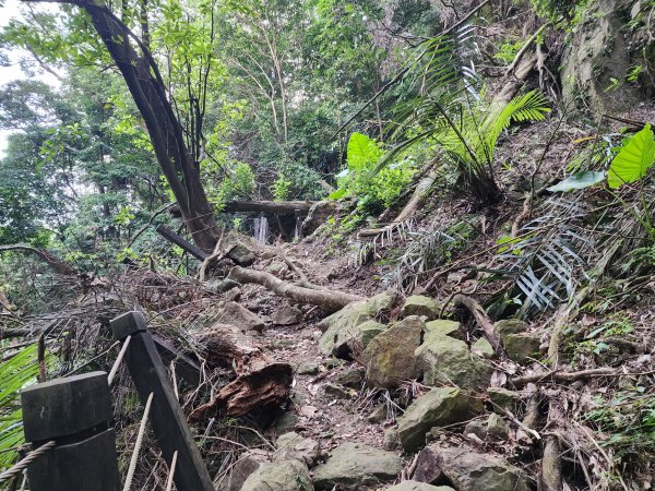 20240721泰安登山步道登七塊山2599947