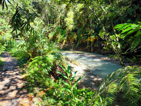 2024-08-22 澀水森林步道2578375