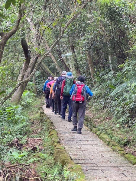 南港山(小百岳#13)/中華科技大學南港山來回2938272