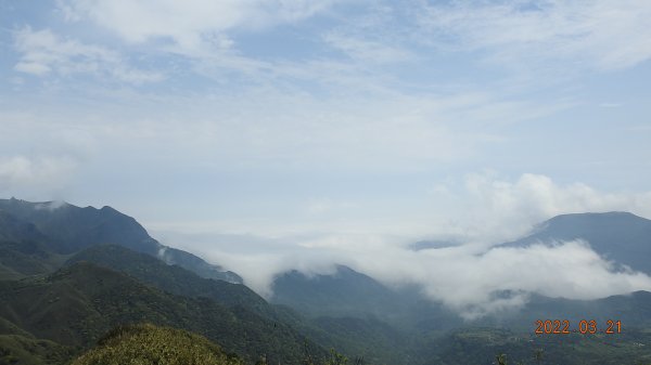 陽明山趴趴走，整天差強人意雲海1650816