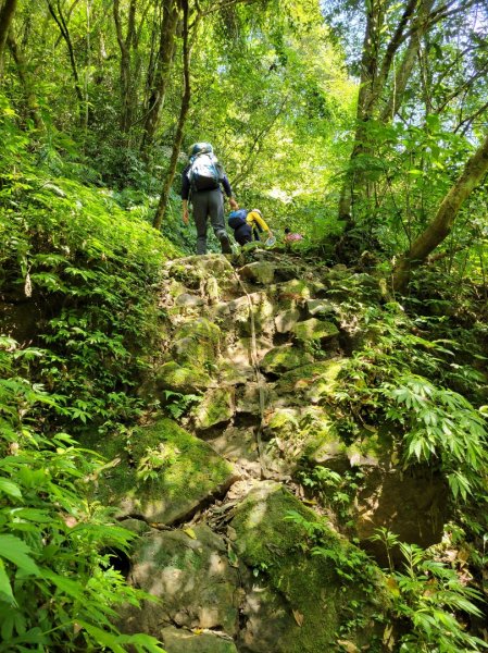 2022.07.28 石碇-紙寮坑古道縱走1782533