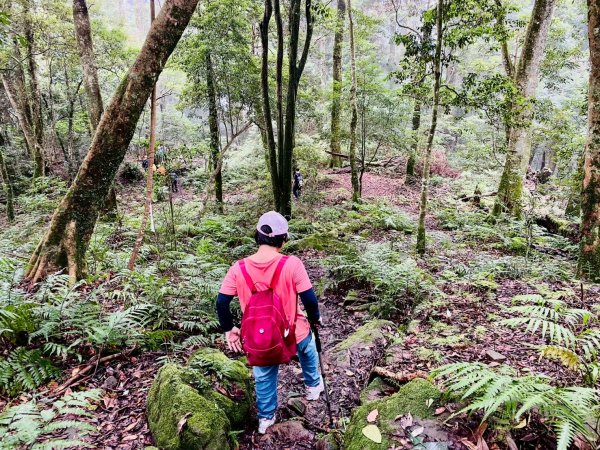 🌈8/2(六）鵝公髻山（小百岳）+北埔冷泉消暑+北埔老街美食✨FB：熊熊趴爬走🌈2852271