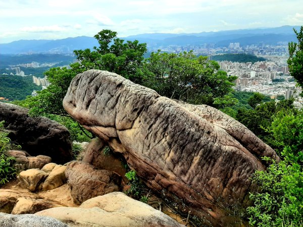 金面山、絹絲瀑布2532402