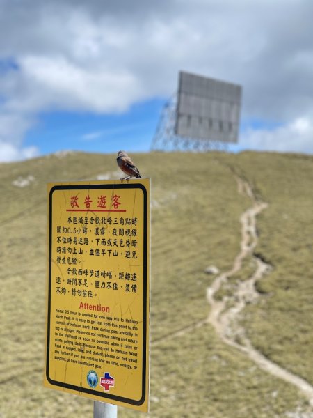 20250515-20250516 《登》合歡群峰3020169