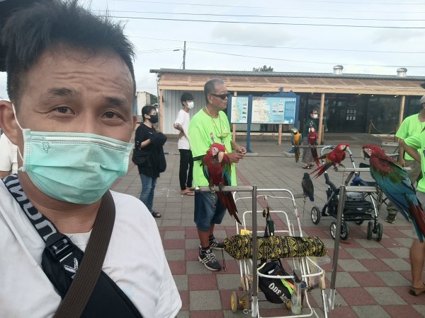 光雕：北門井仔腳瓦盤鹽田1766403