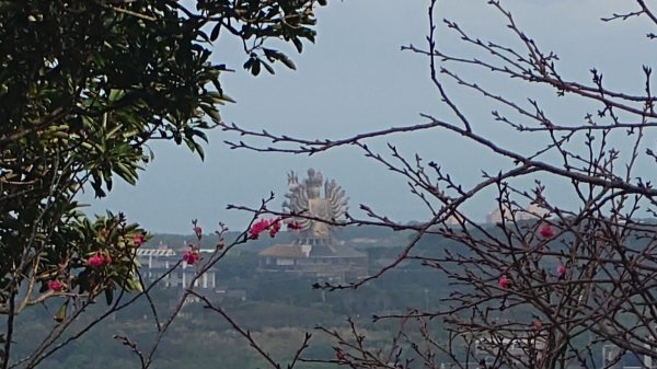 20260125 陽明山前後山健行(無極天元宮~山仔頂步道.向天池.向天山.面天山.二子坪)2997948