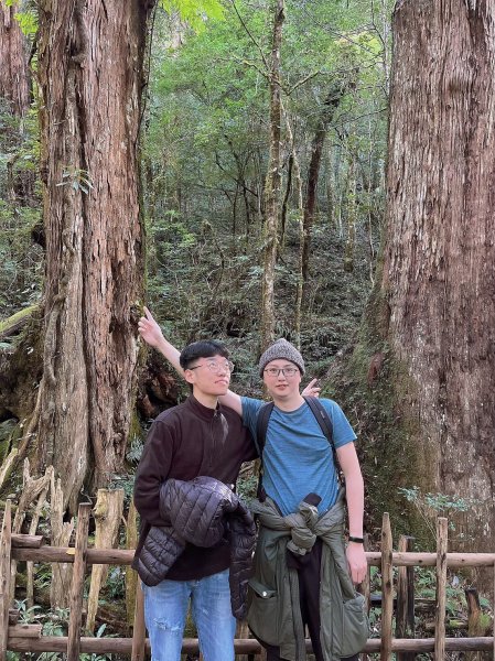 中級山-司馬庫斯2888953