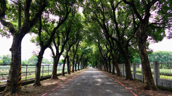 茶山步道,鎮南橋,鴉片菸潭,通學古道2602605