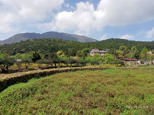 【發現陽明山】頂北投→陽峰古道→陽明山花鐘→陽明書屋→紫明溪步道→竹子湖海芋季2463824