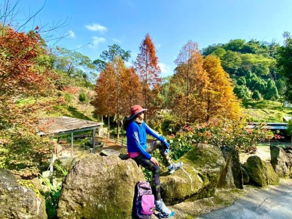 鳶山四秀我家後花園封面