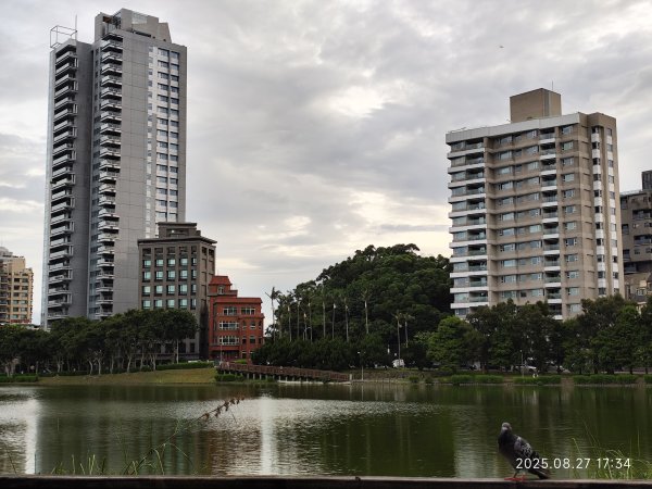 大稻埕、大港墘公園、瑞陽公園、碧湖公園步道【臺北健走趣】2874236