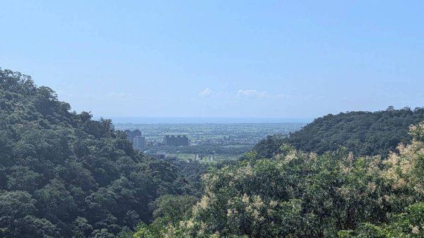 三角崙山、聖母登山（抹茶山）步道3067677