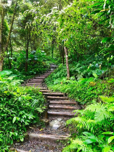 挑戰抹茶山！宜蘭聖母山莊步道與巴唐古道行程一日游安排