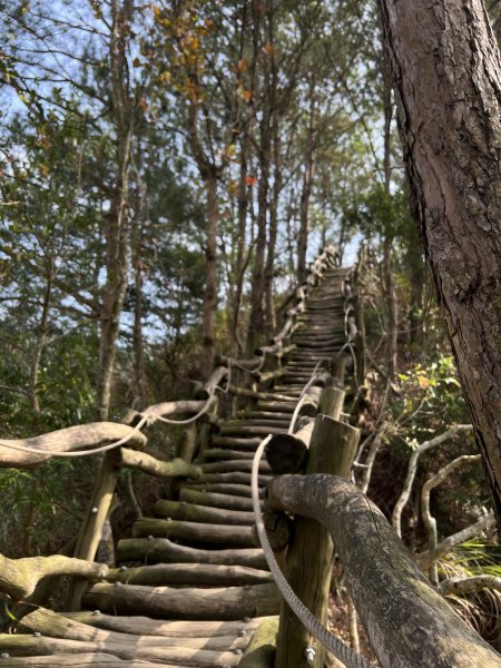 小百岳-頭嵙山2637189