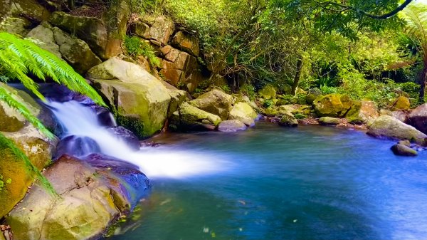 走青山瀑布探老梅冷泉|Qingshan Waterfall|秘境不秘|老梅瀑布|峯花雪月2561837